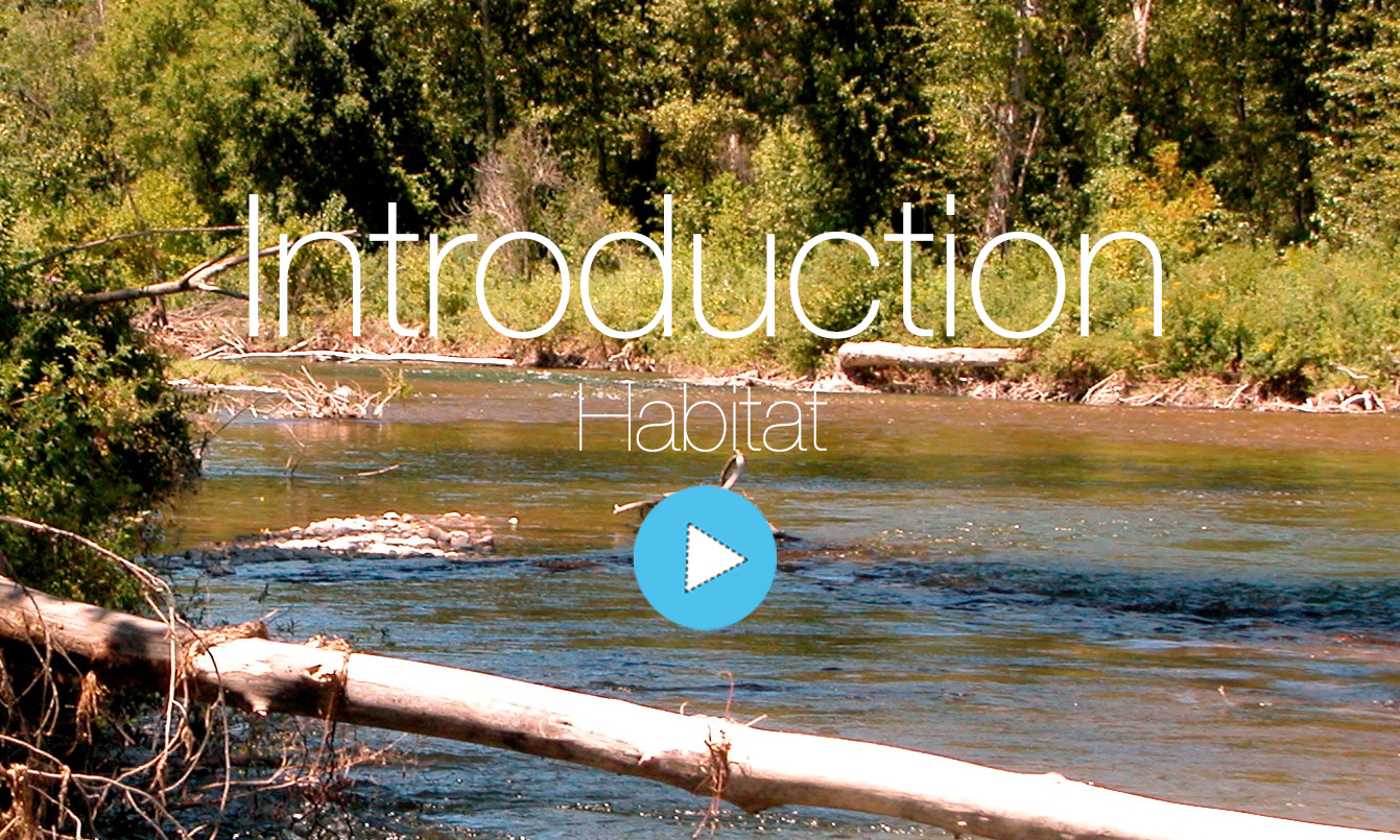 Habitat Cskt Division Of Fish Wildlife Recreation And Conservation